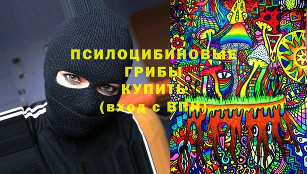 герыч Алексин