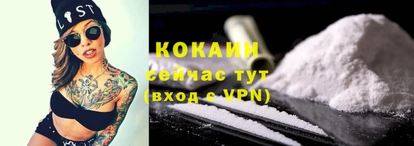 индика Осташков