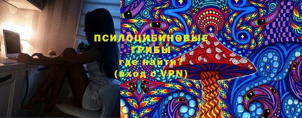 герыч Алексин