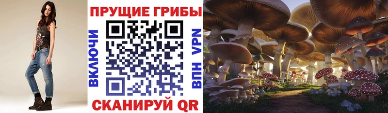 купить наркоту  Енисейск  Галлюциногенные грибы Magic Shrooms 